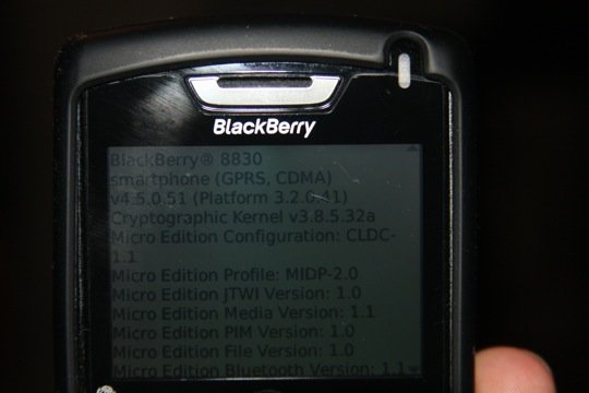 blackberry45.JPG